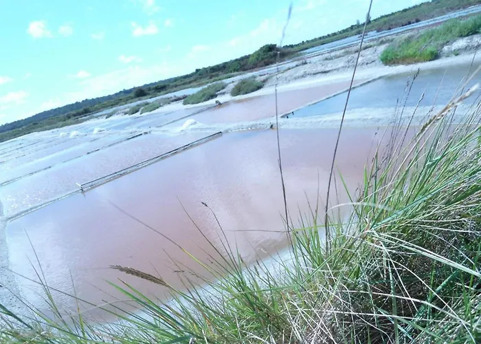 Chaleureux Avec Terrasse Privative Et Vélos, Proche Thalasso Et Plages - Talmont-saint-hilaire - Fr-1-426-318 Hébergement de vacances Saint-Hilaire-de-Talmont