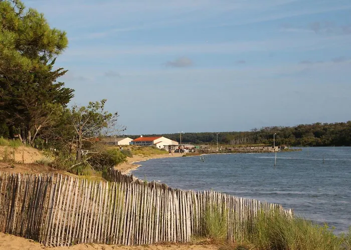 Hébergement de vacances Chaleureux Avec Terrasse Privative Et Vélos, Proche Thalasso Et Plages - Talmont-saint-hilaire - Fr-1-426-318 *