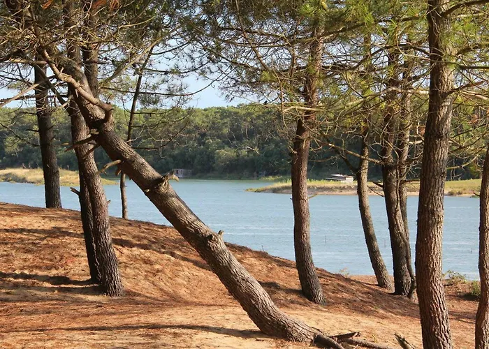 Chaleureux Avec Terrasse Privative Et Vélos, Proche Thalasso Et Plages - Talmont-saint-hilaire - Fr-1-426-318